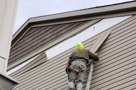 Best Siding Removal and Disposal  in The Galena Territory, IL